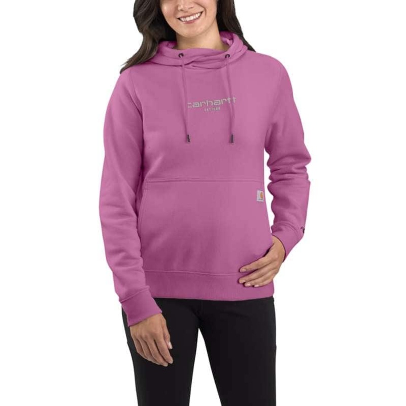 Carhartt Women's Carhartt Force Relaxed Fit Lightweight Graphic Hoodie