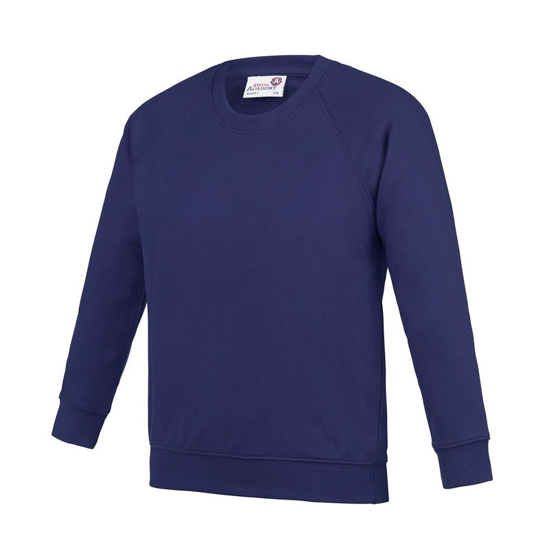 Academy Purple - Kids Academy raglan sweatshirt
