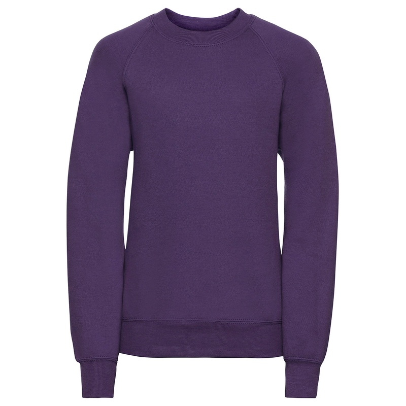 Purple - Kids raglan sleeve sweatshirt